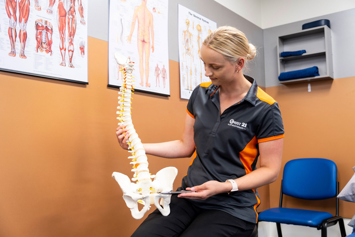 Physiotherapist holds up model of a spine