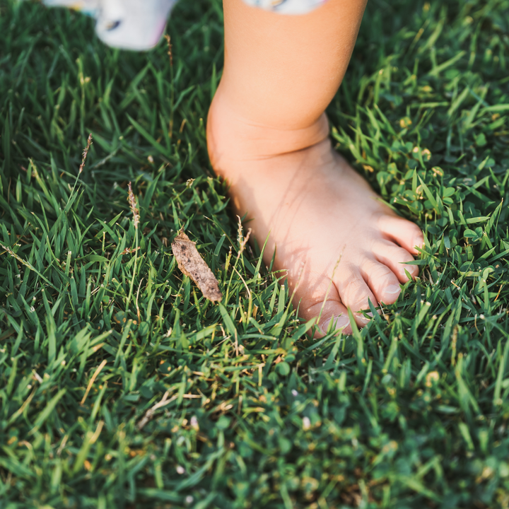 a toddlers foot stands amongst green grass