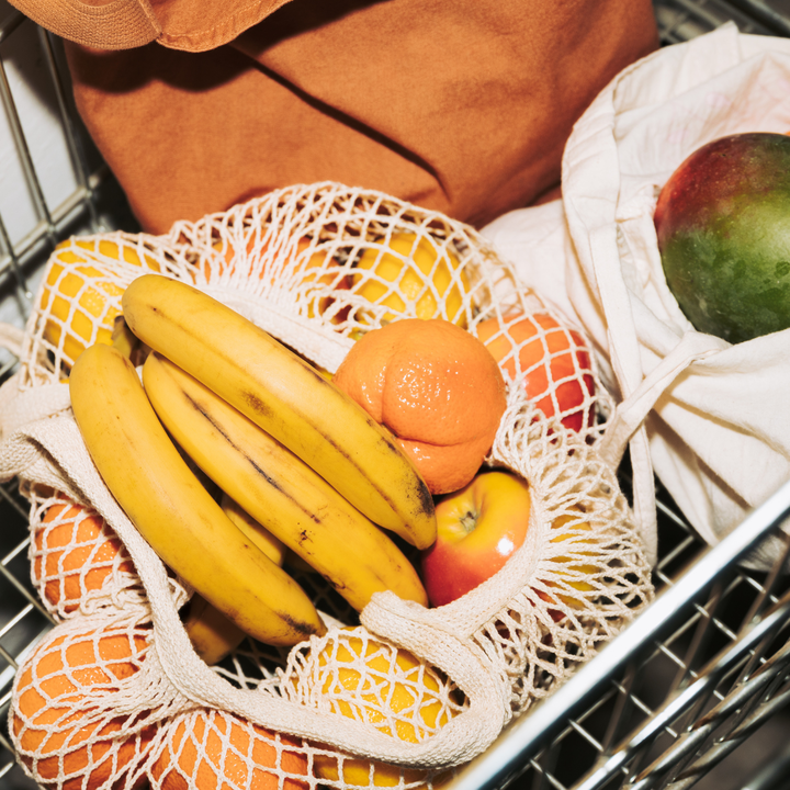 grocery bag with groceries