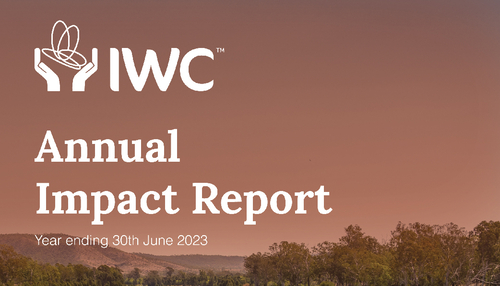 Preview of the cover of the 2022-23 Annual Impact Report