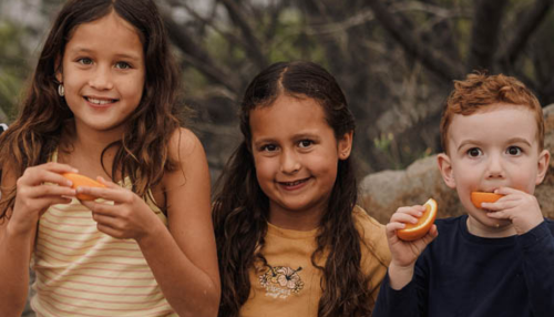 Preview of the cover of the 2023-24 Annual Impact Report